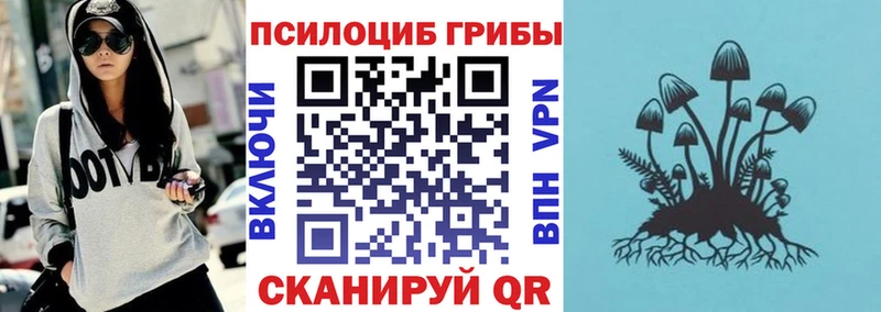 MEGA рабочий сайт  Правдинск  Псилоцибиновые грибы Magic Shrooms 
